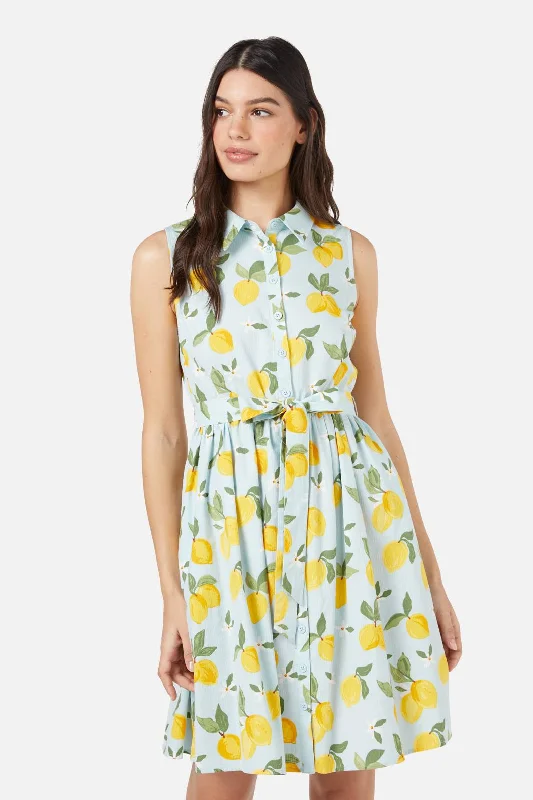 Modish Fashion Discounts Lemon Shirt Dress